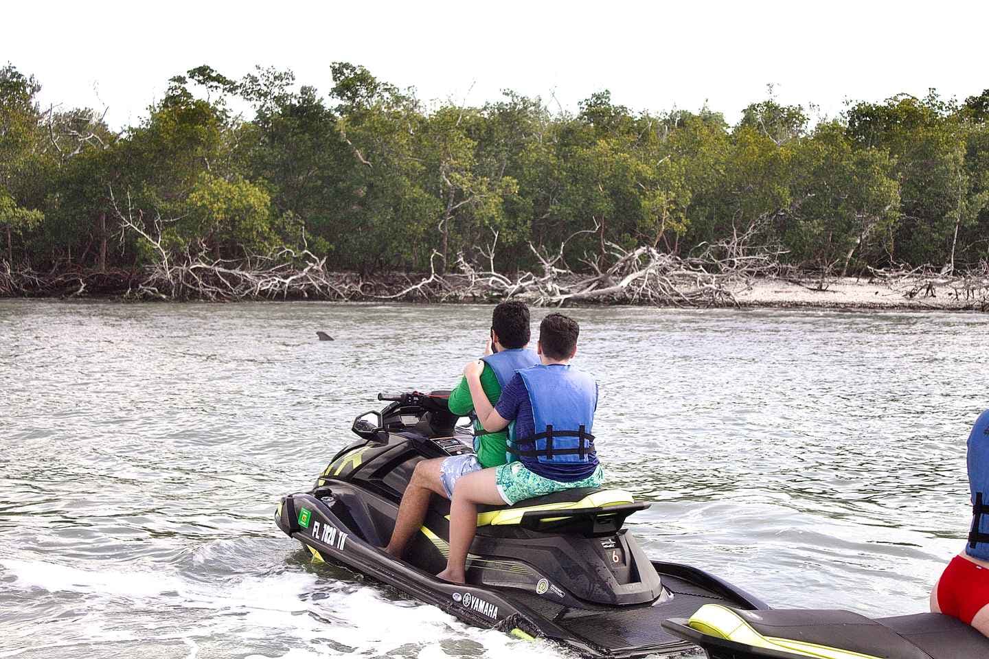 Marco Island: Ten Thousand Island Jet Ski Guided Tour thumbnail